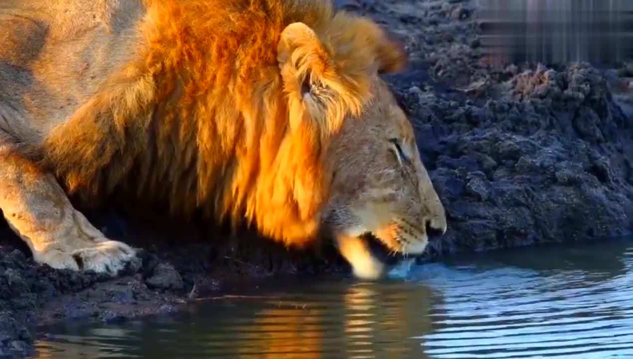 九游体育官网-莫兰特52分全场回放免费